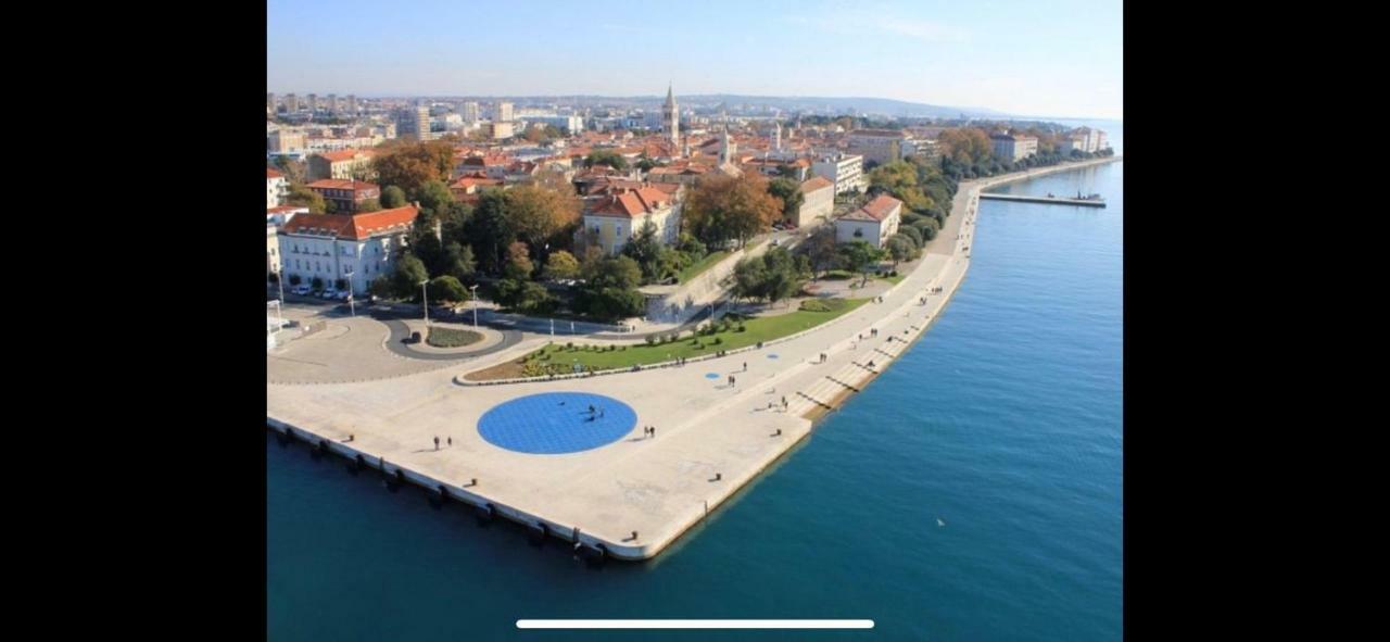 Villa Paludo Novigrad  ภายนอก รูปภาพ